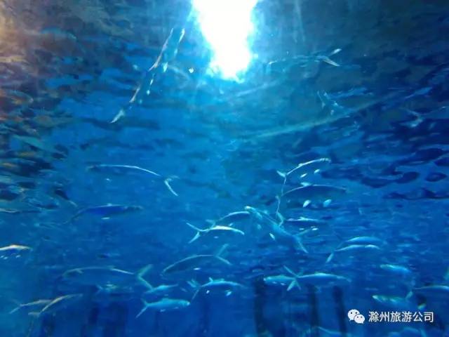 数据惊魂：2026年最新投诉报告曝光