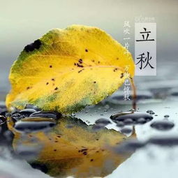 辰龙：海里游的才是你的菜