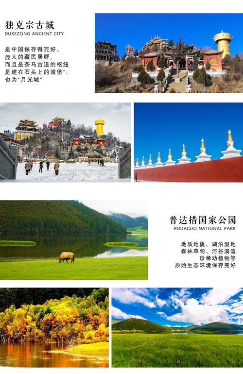 6. 购物指南：买买买！