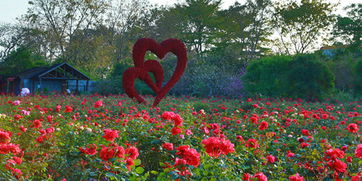 门票陷阱：抢钱的艺术