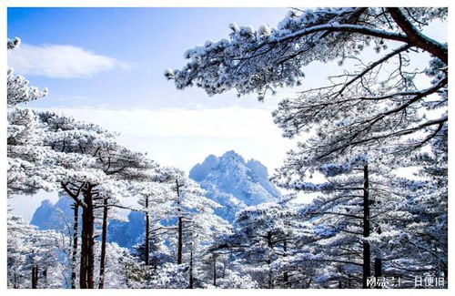 浙江冬季游玩，  这些个地方不容错过