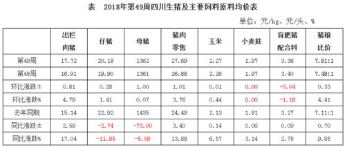 关于周简单姓名配对的基本概念