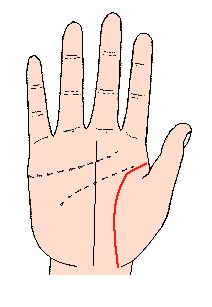 手相秘籍中，有哪些具体的实例可以讲解手相秘法？