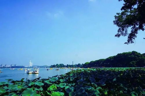 沿途风景：眼睛不够用啊！