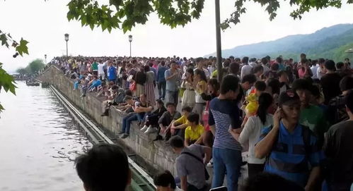 #真实踩坑案例#——黑车、假票、民宿货不对板！