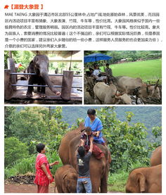 湄登大象营的性价比之谜
