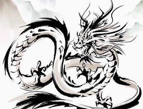 龙人婚姻运势中，哪一年是龙人运势最好的年份呢？