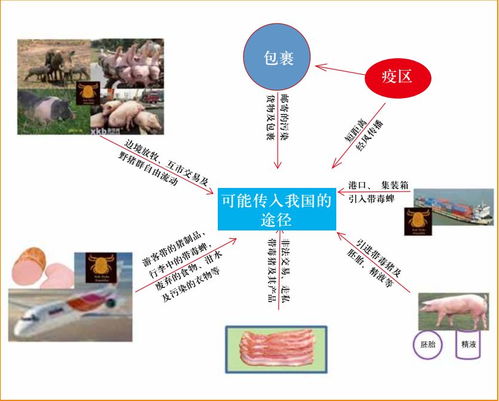 怎样识别“存在风险因素”石头?