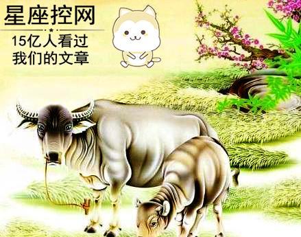 2）守口如瓶：对待家人朋友都很贴心，但有时太过保守。