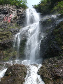 2. 原始森林：呼吸自然的氧吧
