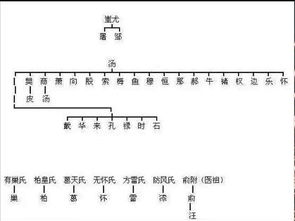 现代化分布：数据+噪声表格混搭（请自行辨认真实虚假）