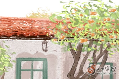 家里放干花影响风水,家里放干花风水怎么说