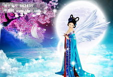 月圆之夜