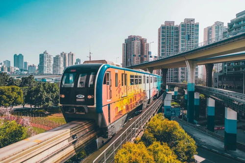 轻轨：都市丛林里的变形金刚