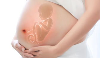 女娃娃八字命是3两7，如何计算自己的命是几斤几两？