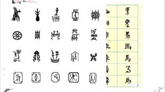 2025年9月16日的生辰八字解析