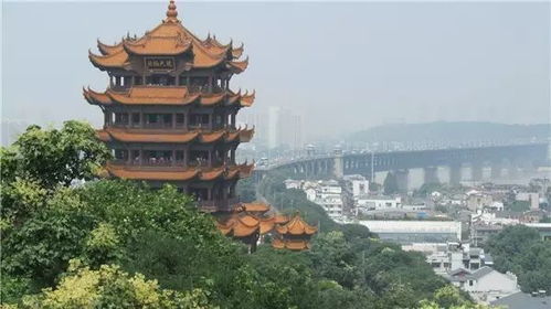 出发前那些没人告诉你的恐怖真相