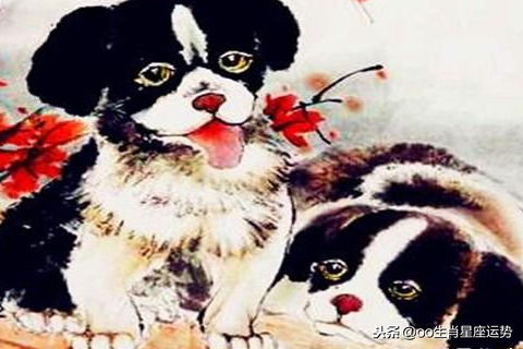 日子咋过？凑合过呗！