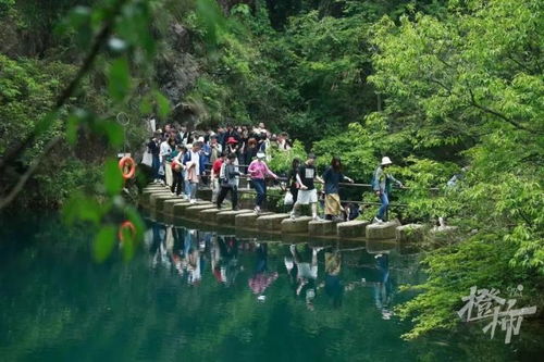 五一狂欢——竹溪探秘限时门票到底在哪儿抢？