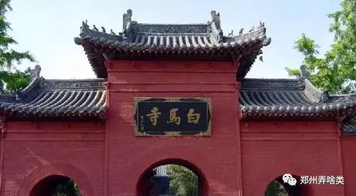 5.2 洛阳老城区—小吃+文创+网红打卡点