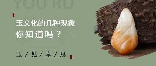 风水应用中的注意事项及案例解析