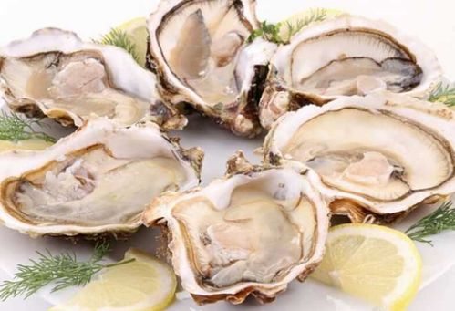 #乱入#——杂七杂八的信息流