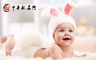 源自经典诗词的名字推荐