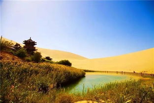 Day 3：夏河→桑科草原→郎木寺，草原上全是牛粪！