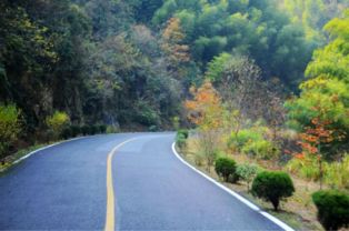 一、 从姜坞到霞山：一条看似平凡却暗藏保密的路线