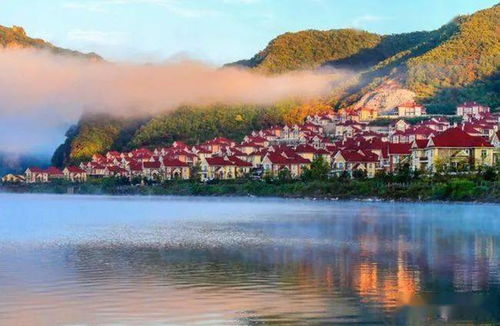 数字？数字算个屁！