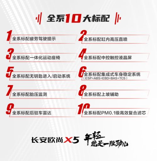 2026年2月门店开业吉日大全，有哪些最新查询结果？