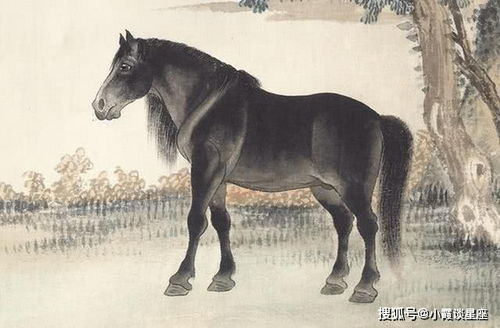 感情运势——桃花灿烂还是烂桃花？全看你的眼光！