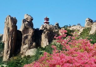 九仙湖与杜鹃花园