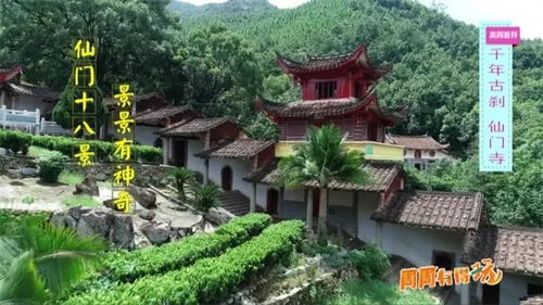 3、 第二站——牛哆啰（水果园+乱七八糟）