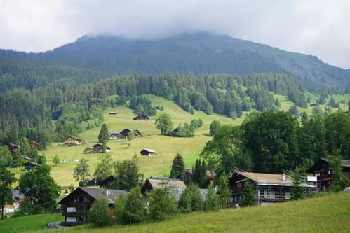 嵩山：雾里堪花，有点儿像仙境