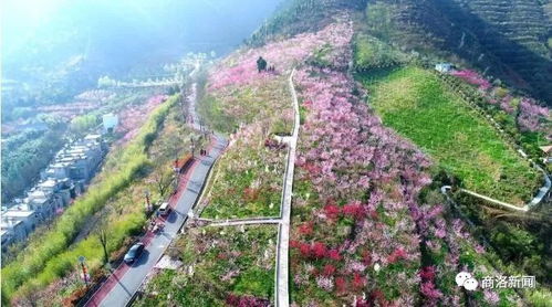 乱七八糟的价格来源大集合（噪音版）