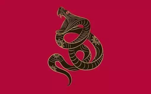 哪些生肖与蛇相克，蛇与哪些生肖最为相配？
