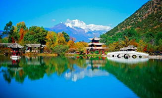 用数据打脸传统旅游团