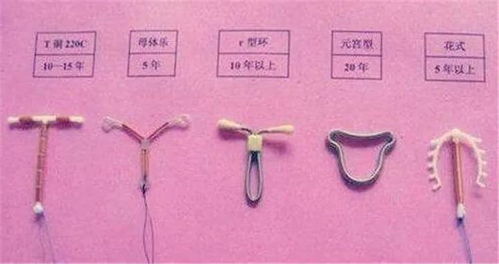 前言——取环的奇妙时光