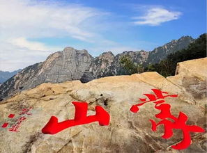 彩蒙景区：山里有花，花里有你