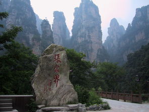 #旅游糗事#：不靠谱导游篇