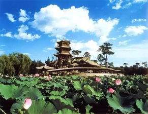 初识南普陀：一股清凉扑面而来（真的！）