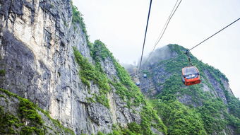 第四天：大峡谷玻璃桥， 吓死人不偿命的地方