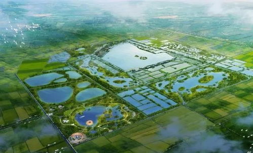 不止于堪：这些“隐藏玩法”才是潜江湿地的灵魂