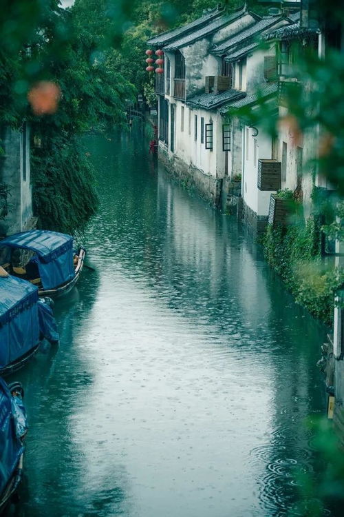 春日江南，烟雨蒙蒙的梦幻之旅...或着说是一场湿漉漉的逃亡？