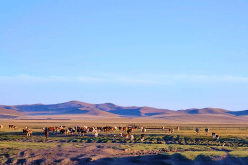 小众景点逆袭！清净之地成新宠