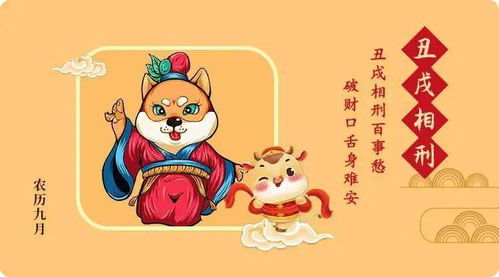 戌时出生的人，他们的配偶会是什么命格呢？