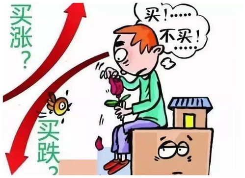 双子座：买房不如买快乐
