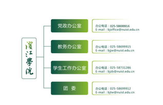三、拆分的真相：背后的无奈与挣扎