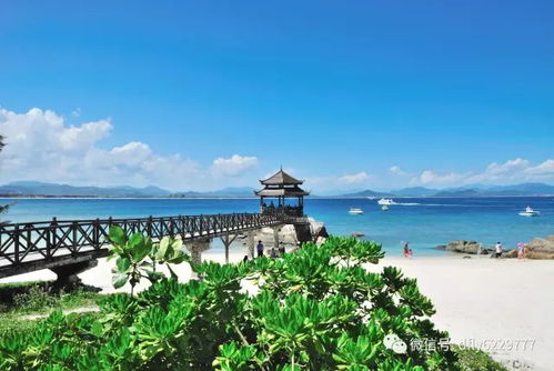 白天里的双岛湾，探索与发觉之旅